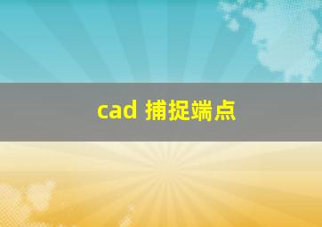 cad 捕捉端点